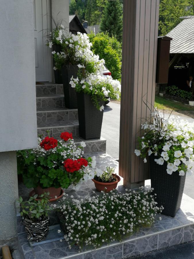Apartma Simona Bohinj Esterno foto